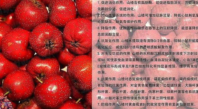 几种山楂食品的功效与制作方法
